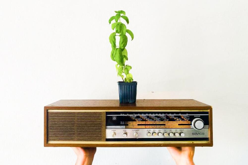 Volim sve što ne vole mladi, Foto: Br. M.