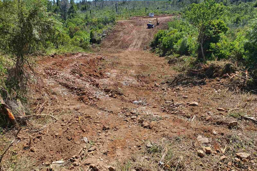 Foto: Opština Tivat