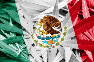 Legalizacija marihuane i rat protiv droge u Meksiku: Zemlja krvari...