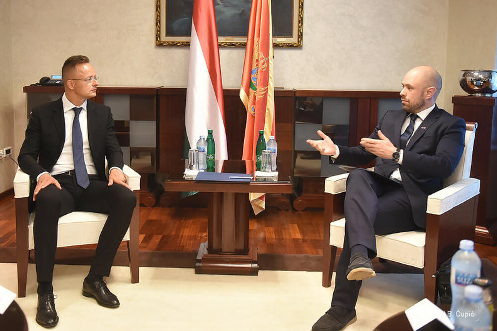 Sijarto i Radulović, Foto: MVP