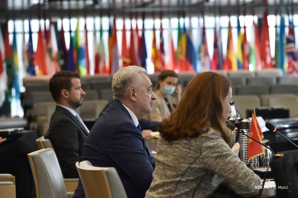 Krivokapić i Milatović