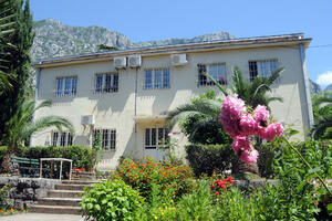 Mentalno zdravlje na čekanju zbog korone