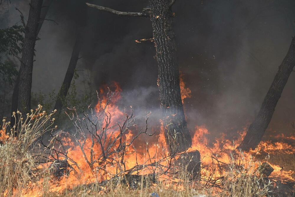 Sa mjesta požara, Foto: Boris Pejović