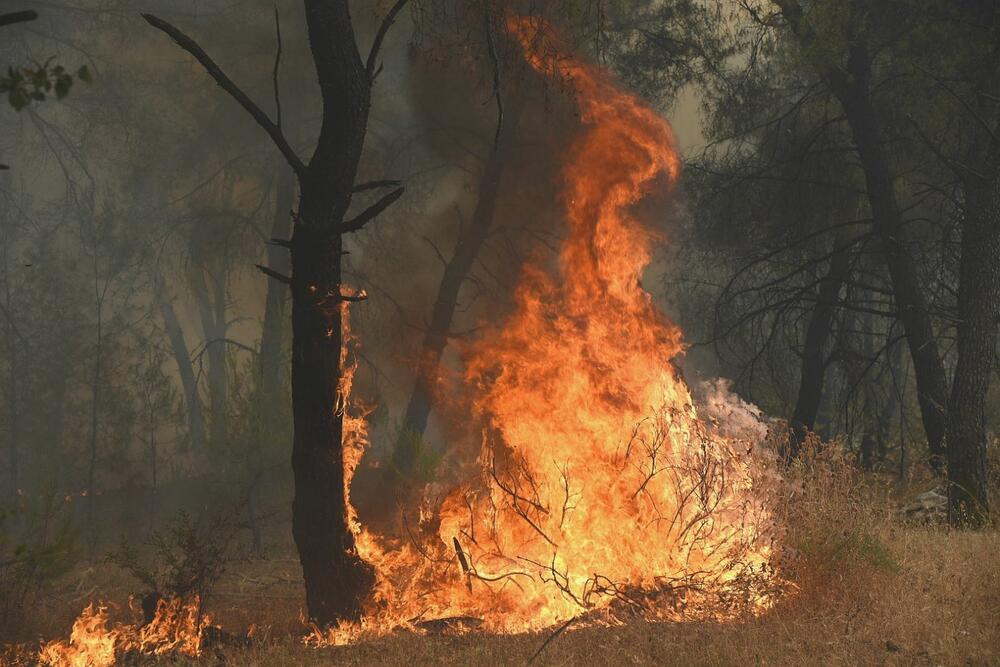<p>Sve ekipe vatrogasaca su na terenu</p>