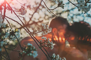 Držite se ovih praktičnih pravila: Put do ženskog srca i ostalog