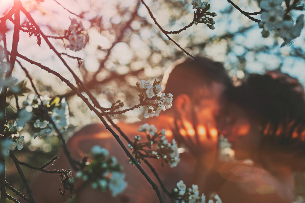 Ilustracija, Foto: Shutterstock