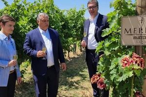 Orban i Vučić su zajedno bili i u vinogradu: Šta je zbližilo...