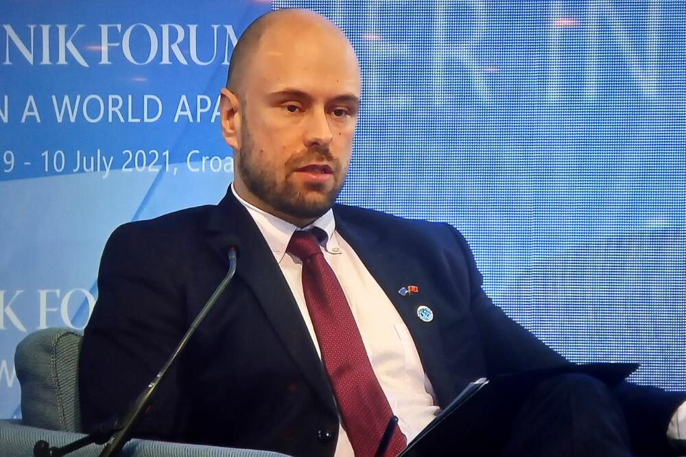 Ministar vanjskih poslova Đorđe Radulović, Foto: MVP