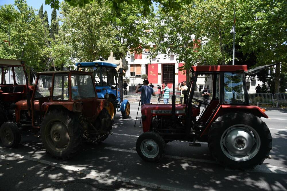 Sa protesta, Foto: Savo Prelević