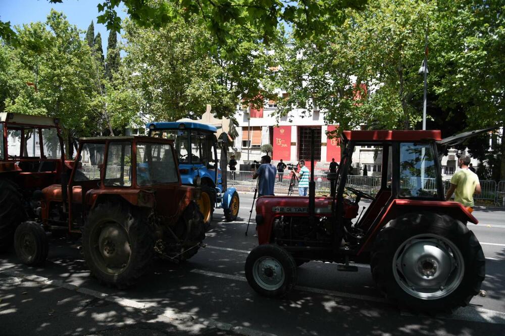 Foto: Savo Prelević