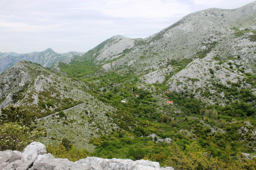 Foto: Jasna Gajević