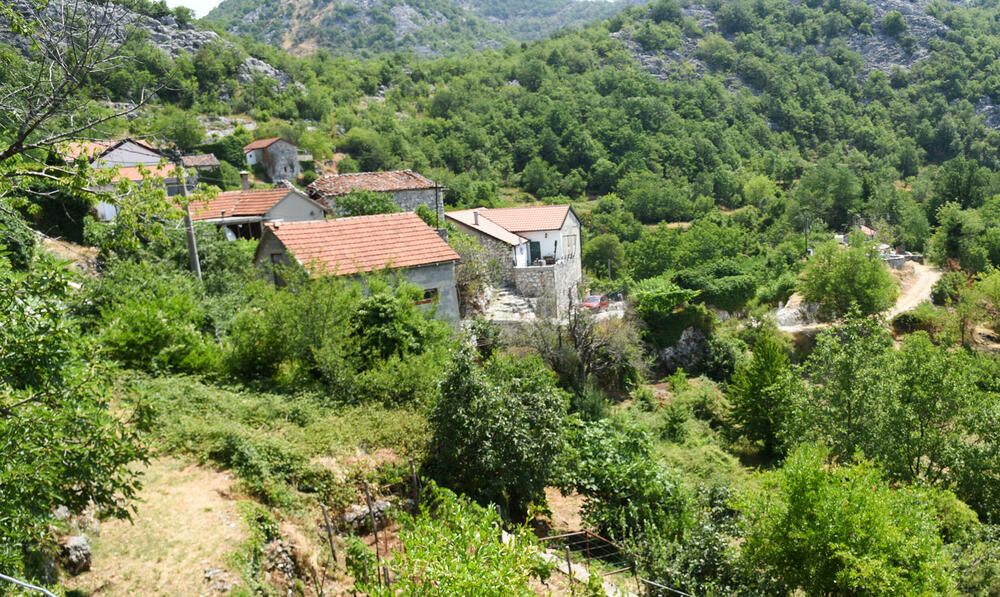 Selo Radomir