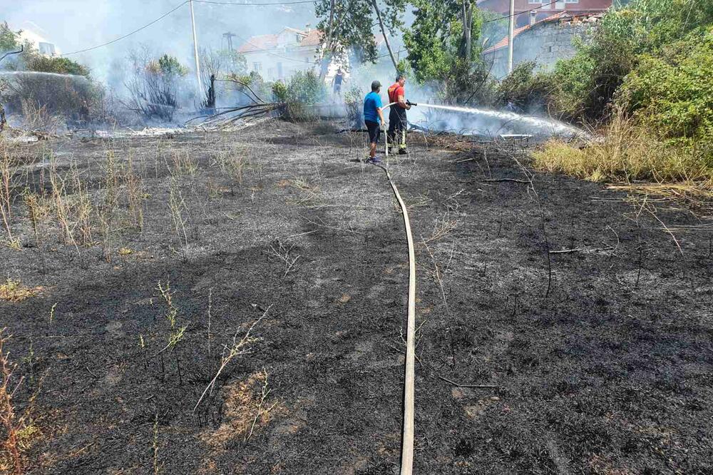 Foto: Služba zaštite i spasavanja Tivat