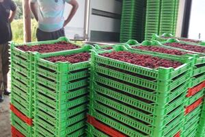 Malinari zadovoljni, digli ruke od ministarstva