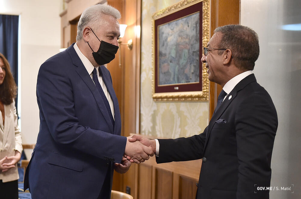 Krivokapić i Paček