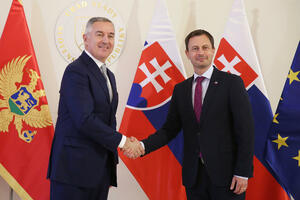 Heger: Slovačka snažno podržava reforme i napredak Crne Gore