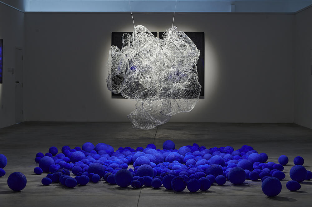 Foto: Duško Miljanić