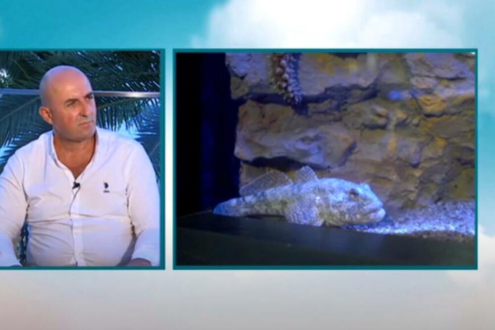 Boje jutra, Foto: Printscreen YouTube