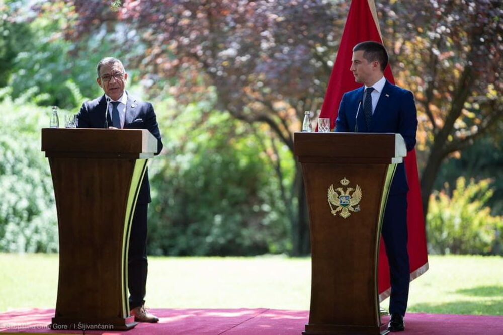 Pačeko i Bečić, Foto: Skupstina.me