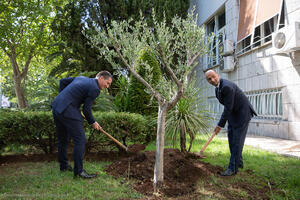 Bečić i Aldžarvan posadili stablo masline ispred zgrade parlamenta