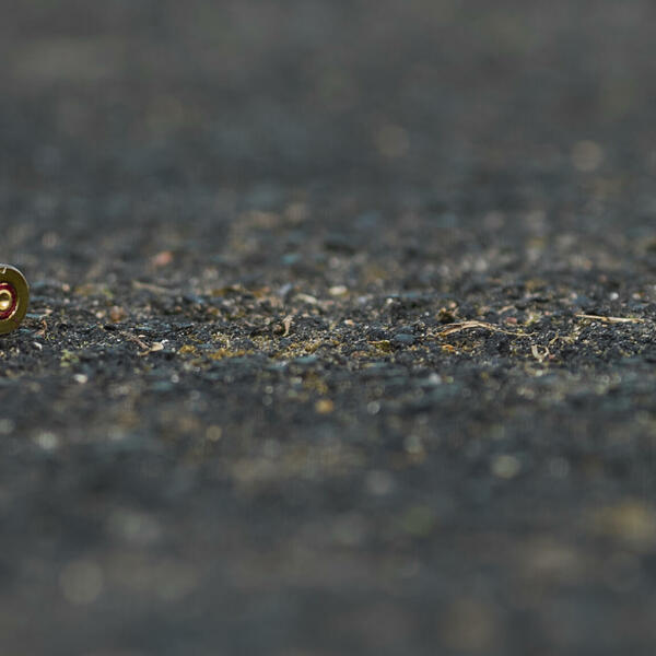 Pucnjava u Budvi, nema povrijeđenih