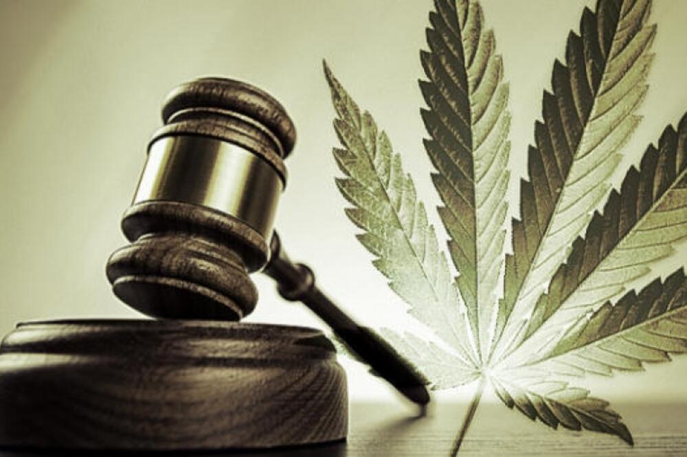 Marihuana (Ilustracija), Foto: shutterstock.com