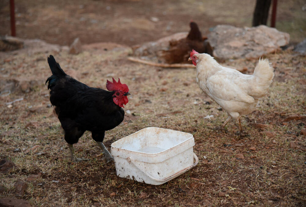 Sve ima, samo vodu nema