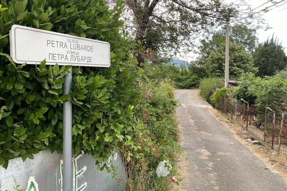 Šušanj, Bar, 2021., Foto: Br. M.