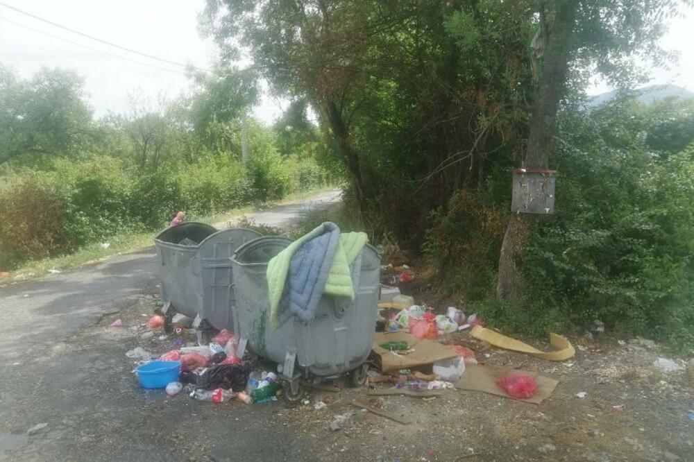 Foto: Jelena Jovanović