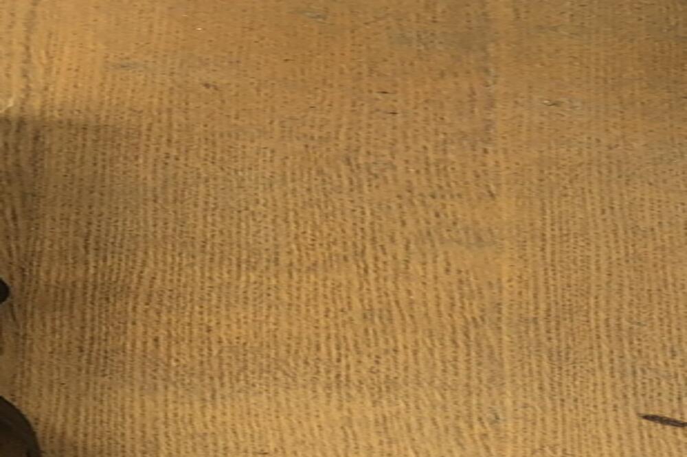 Oduzeto oružje, Foto: Uprava policije