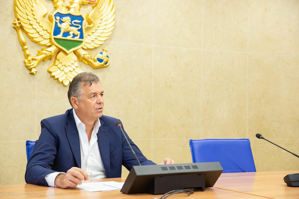 Gvozdenović, Foto: Skupština Crne Gore