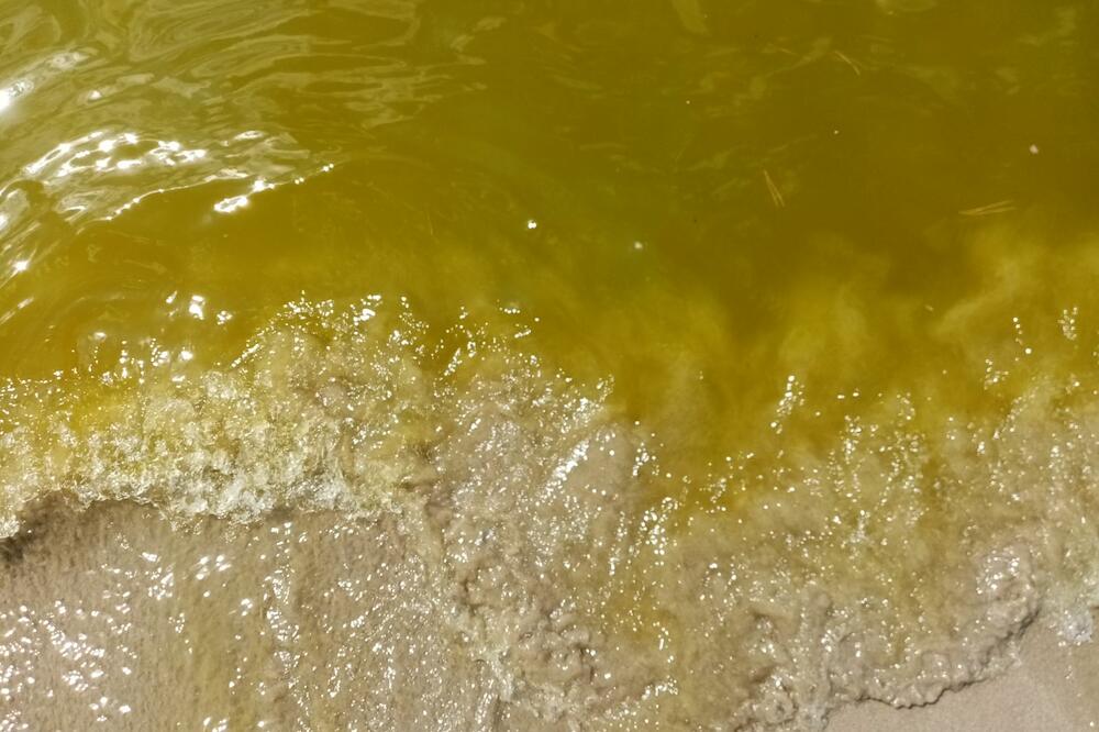 Foto: Čitalac Vijesti