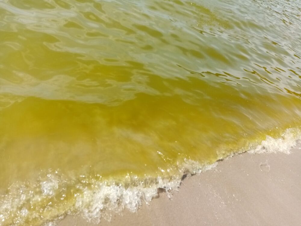 plavi horizont mutna voda