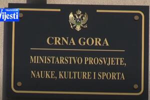 CGO problematizuje razlog smjene Višnjić