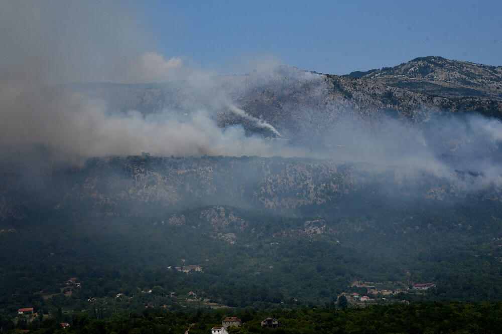 Ilustracija, Foto: Luka Zeković