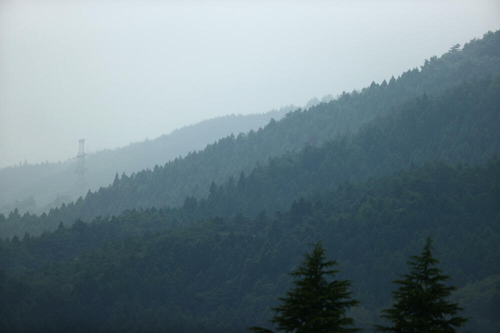 Gusta šuma okružuje bejzbol stadion u Fukušimi, Foto: Beta/AP