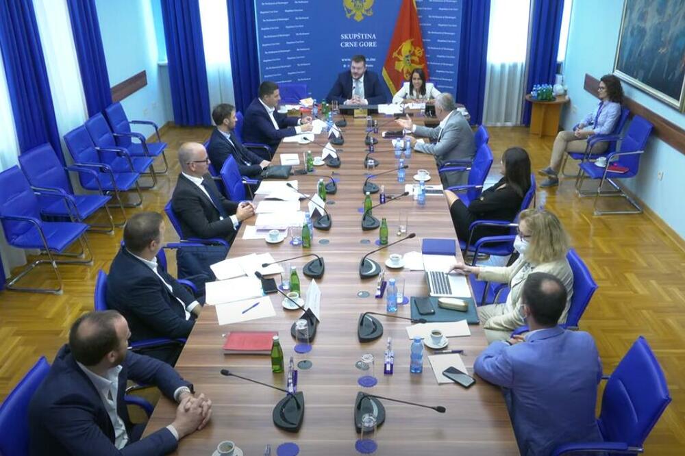 Sjednica Odbora za politički sistem, pravosuđe i upravu, Foto: Printscreen