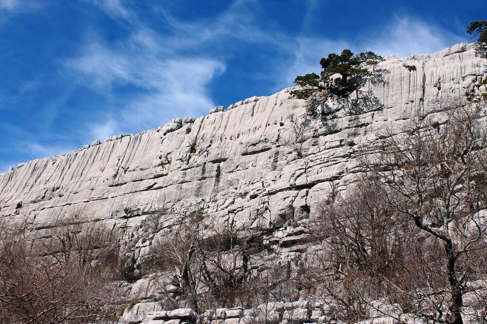 Foto: Jasna Gajević