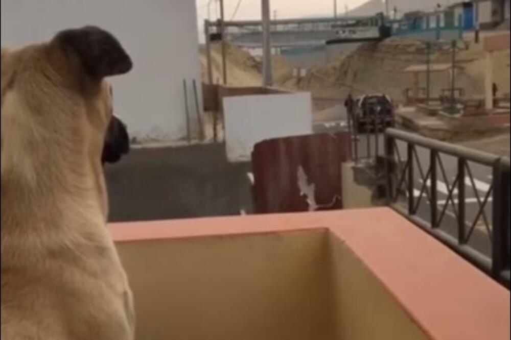 Foto: Printscreen YouTube