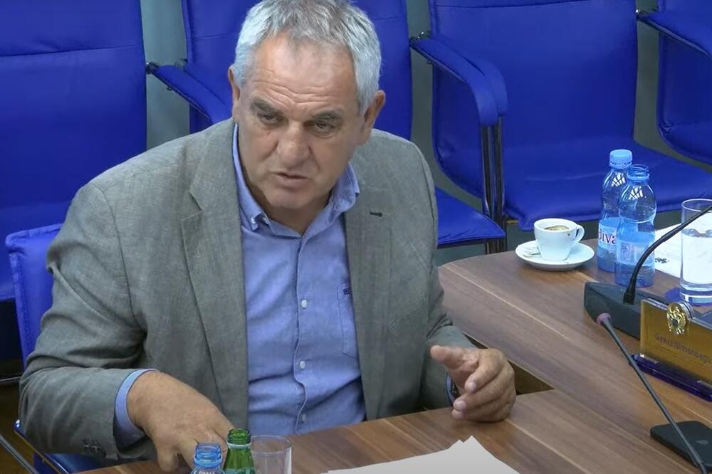 Mitrović, Foto: Screenshot/Youtube