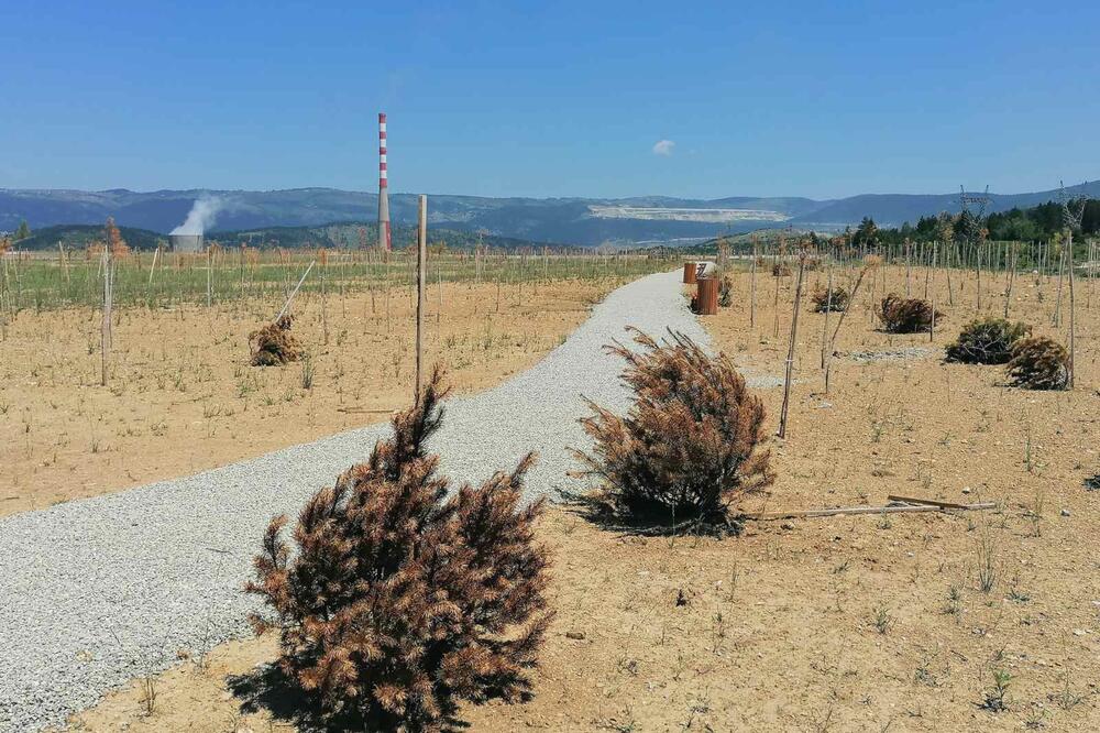 Skoro kao u pustinji, Foto: NVO “Da zaživi selo”