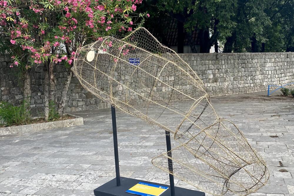 Foto: NVO Naša akcija