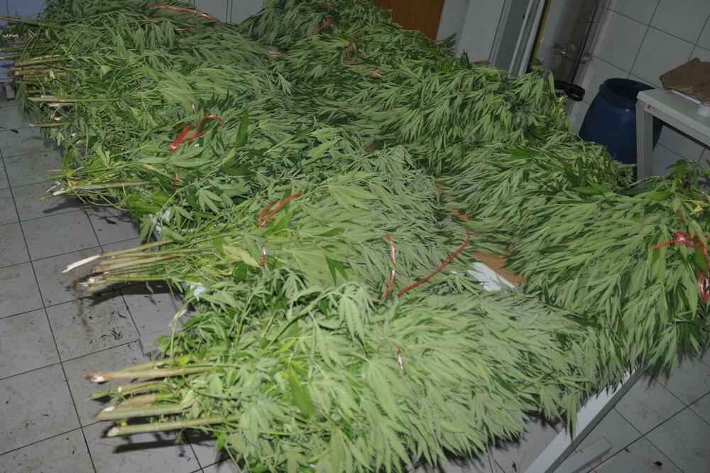 Foto: Uprava policije