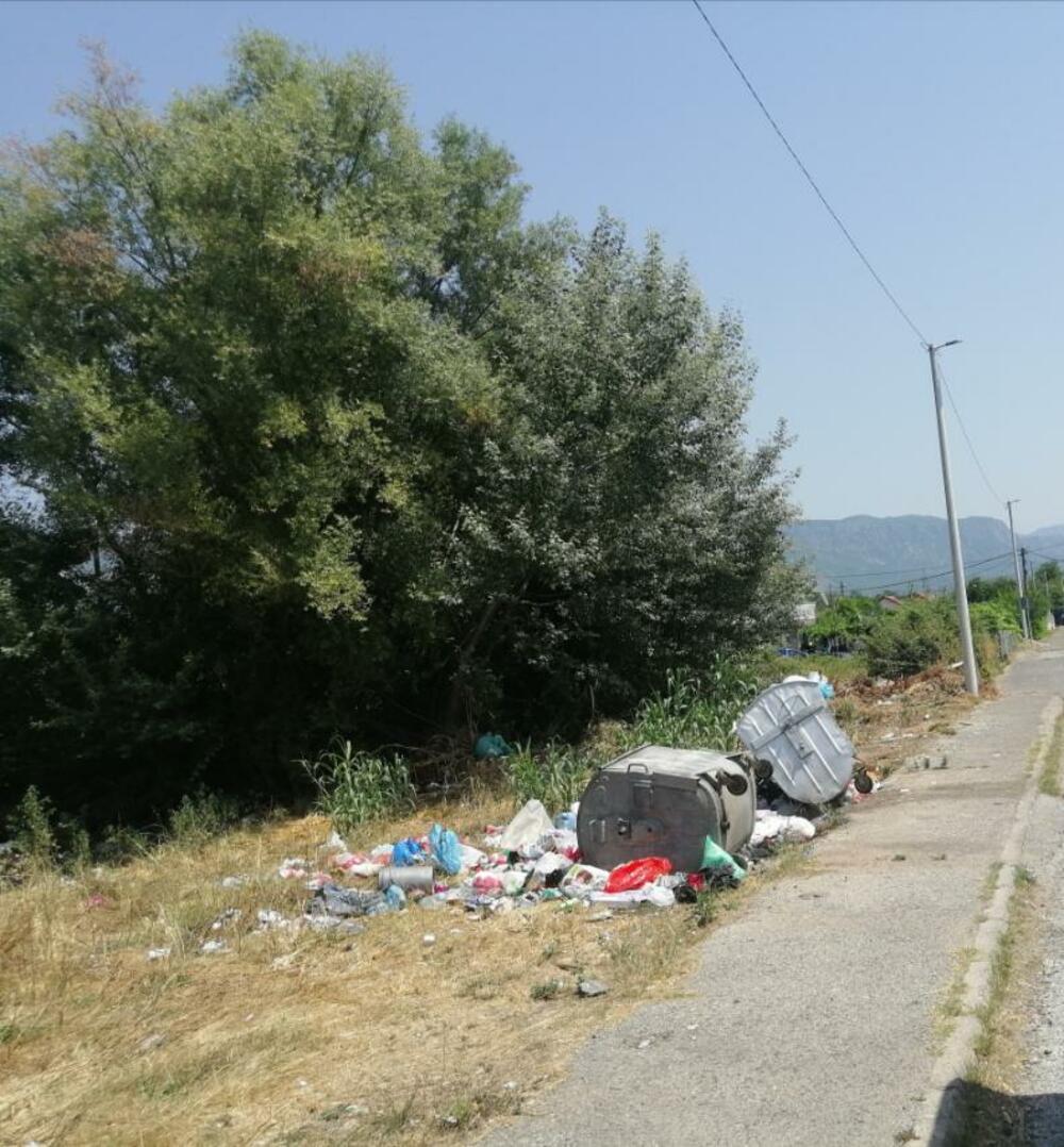<p>Reporterka Vijesti danas je fotografisala mini deponije u gradskom naselju Pažići, ali u naseljima duž martinićkog puta - Potkraju Šaranovića, Jelenku, Sigama, Pjeskovima i na Ciglani.</p>