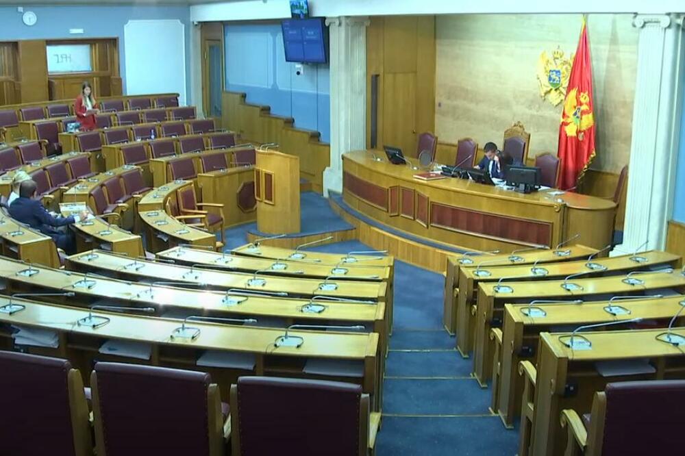 Srzentič odgovara na poslaničko pitanje, Foto: Printscreen