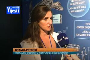 Pestorić: Posjeta akvarijumu mnogo bolja nego što smo očekivali