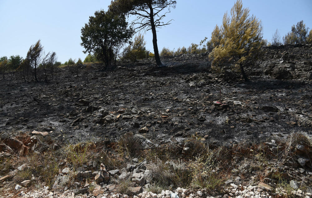 <p>Zbog sumnje da su požari na Gorici podmetnuti, imajući u vidu da je za kratko vrijeme vatra zahvatila više različitih lokacija, Služba zaštite i spasavanja Podgorice podnijela je krivičnu prijavu protiv NN lica</p>  <div contenteditable="false" tabindex="-1"> </div>