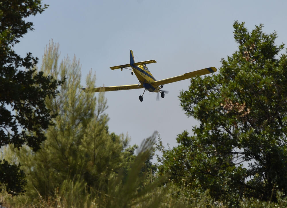 <p>Zbog sumnje da su požari na Gorici podmetnuti, imajući u vidu da je za kratko vrijeme vatra zahvatila više različitih lokacija, Služba zaštite i spasavanja Podgorice podnijela je krivičnu prijavu protiv NN lica</p>  <div contenteditable="false" tabindex="-1"> </div>