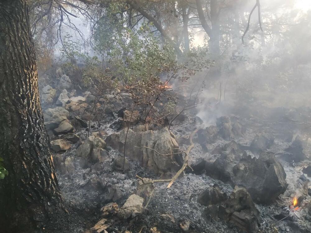 <p>Zbog sumnje da su požari na Gorici podmetnuti, imajući u vidu da je za kratko vrijeme vatra zahvatila više različitih lokacija, Služba zaštite i spasavanja Podgorice podnijela je krivičnu prijavu protiv NN lica</p>  <div contenteditable="false" tabindex="-1"> </div>