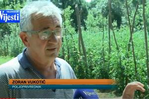 Poljoprivrednici nezadovoljni prodajom paradajza
